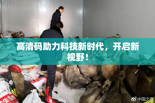 高清码助力科技新时代，开启新视野！