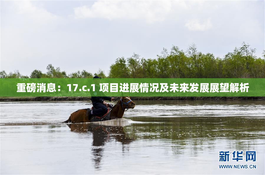 重磅消息：17.c.1 项目进展情况及未来发展展望解析