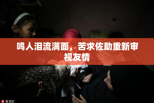 鸣人泪流满面，苦求佐助重新审视友情
