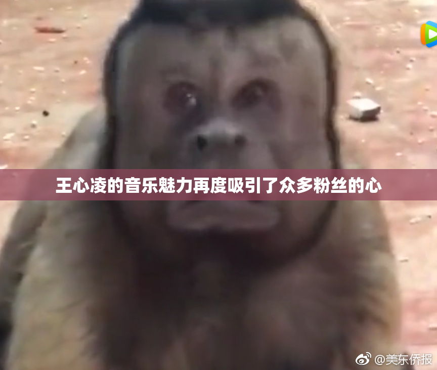王心凌的音乐魅力再度吸引了众多粉丝的心