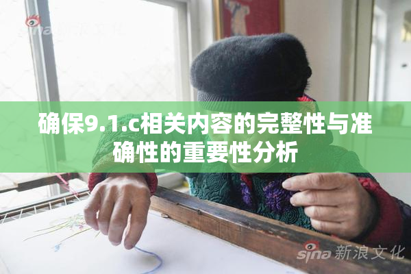 确保9.1.c相关内容的完整性与准确性的重要性分析