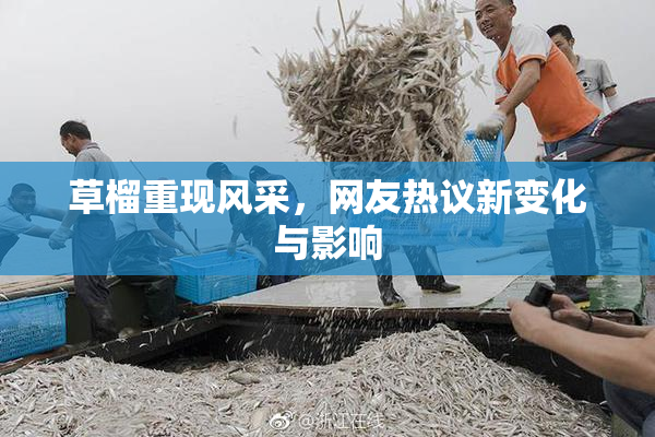 草榴重现风采，网友热议新变化与影响