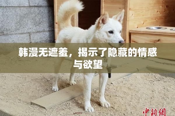 韩漫无遮羞，揭示了隐藏的情感与欲望