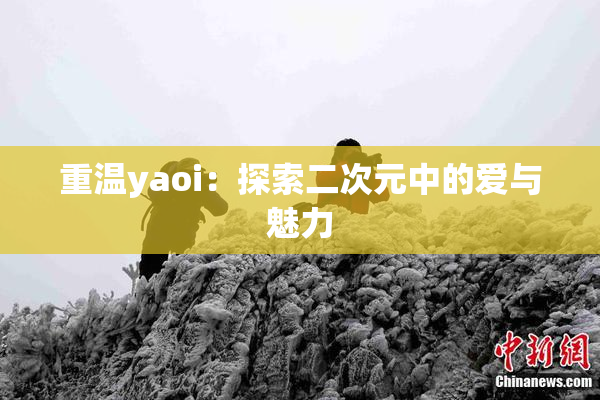 重温yaoi：探索二次元中的爱与魅力