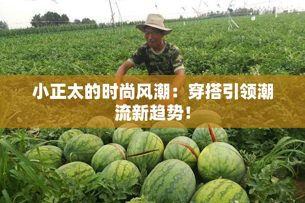 小正太的时尚风潮：穿搭引领潮流新趋势！