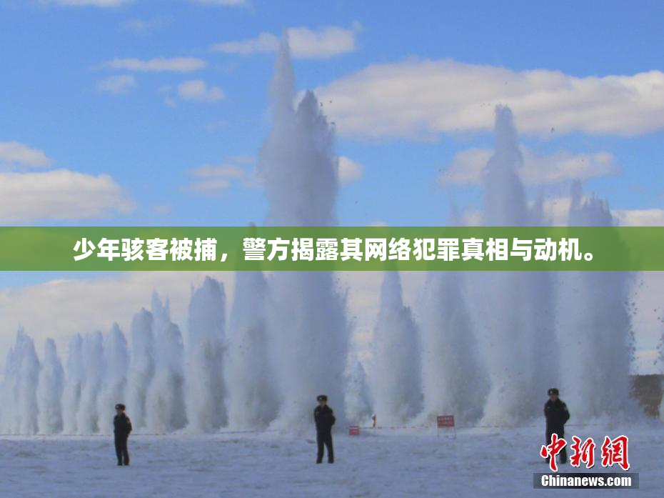少年骇客被捕，警方揭露其网络犯罪真相与动机。