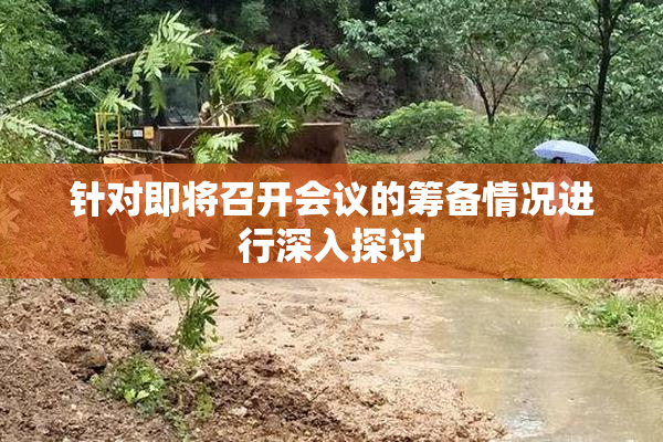 针对即将召开会议的筹备情况进行深入探讨