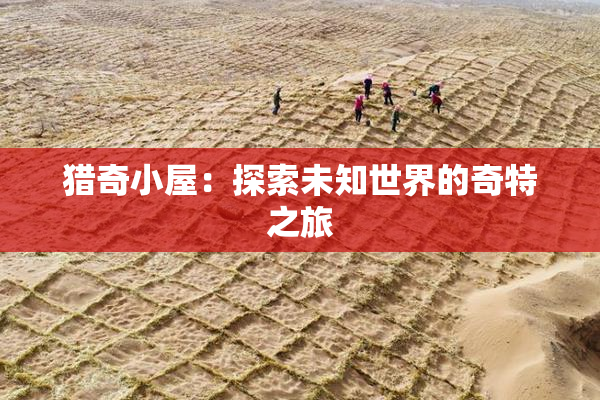 猎奇小屋：探索未知世界的奇特之旅