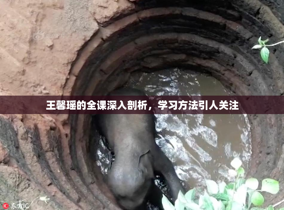 王馨瑶的全课深入剖析，学习方法引人关注