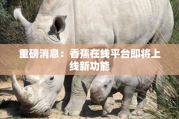 重磅消息：香蕉在线平台即将上线新功能