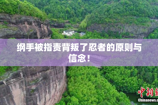 纲手被指责背叛了忍者的原则与信念！