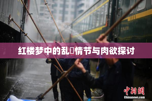 红楼梦中的乱婬情节与肉欲探讨