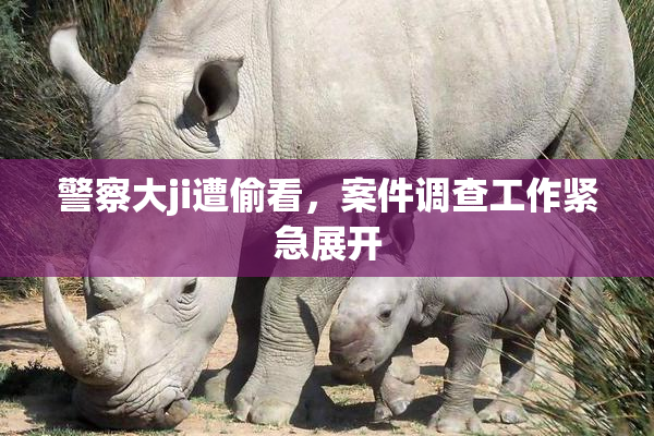 警察大ji遭偷看，案件调查工作紧急展开