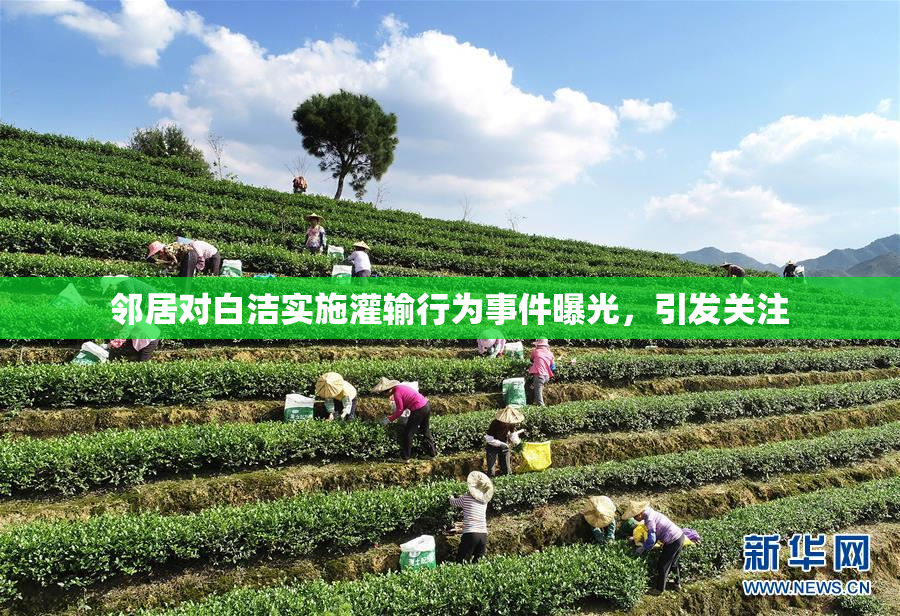 邻居对白洁实施灌输行为事件曝光，引发关注