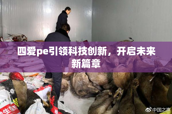 四爱pe引领科技创新，开启未来新篇章