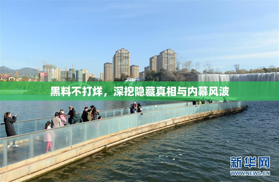 黑料不打烊，深挖隐藏真相与内幕风波