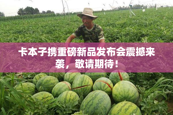 卡本子携重磅新品发布会震撼来袭，敬请期待！