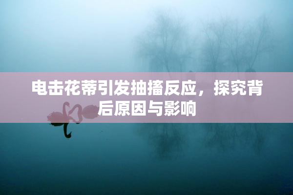 电击花蒂引发抽搐反应，探究背后原因与影响