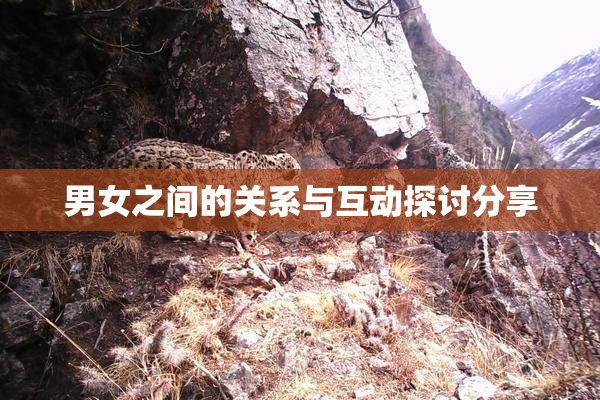 男女之间的关系与互动探讨分享