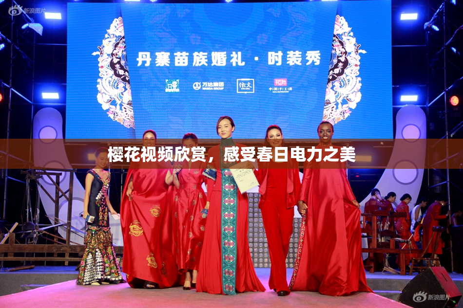 樱花视频欣赏，感受春日电力之美