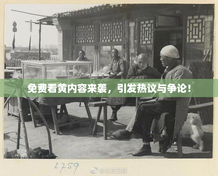 免费看黄内容来袭，引发热议与争论！