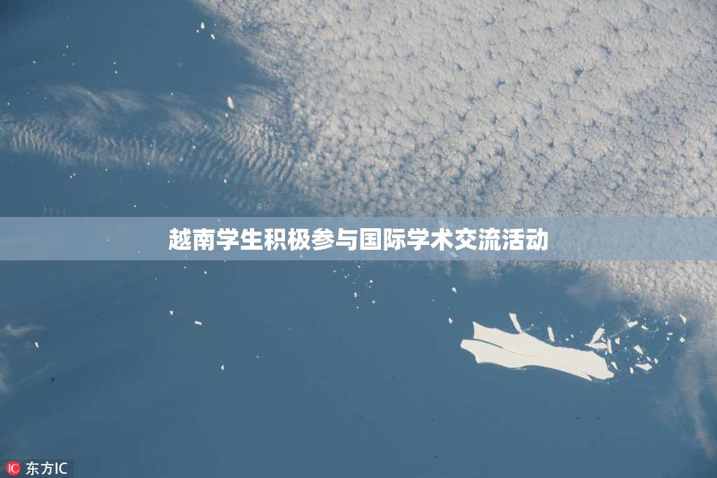越南学生积极参与国际学术交流活动