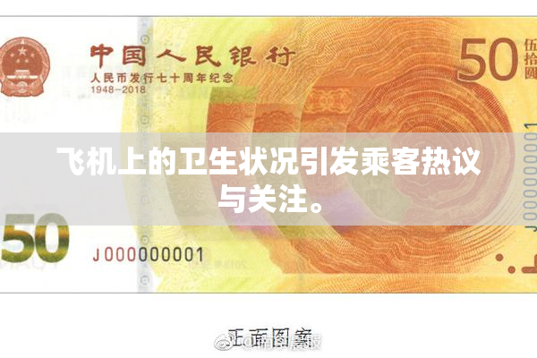 飞机上的卫生状况引发乘客热议与关注。