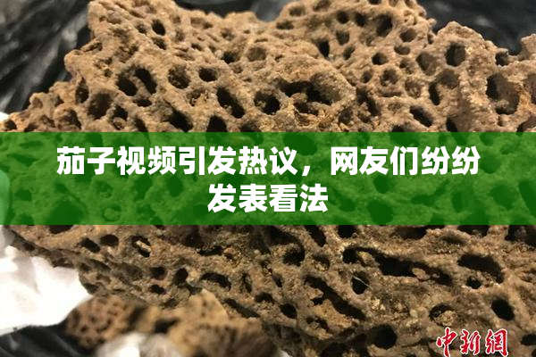 茄子视频引发热议，网友们纷纷发表看法