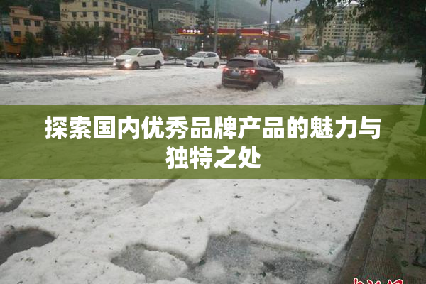 探索国内优秀品牌产品的魅力与独特之处