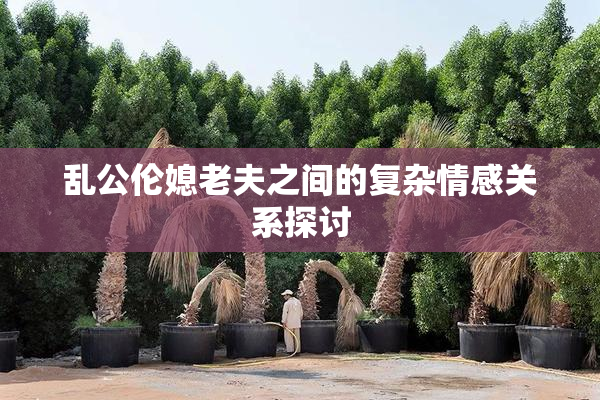 乱公伦媳老夫之间的复杂情感关系探讨