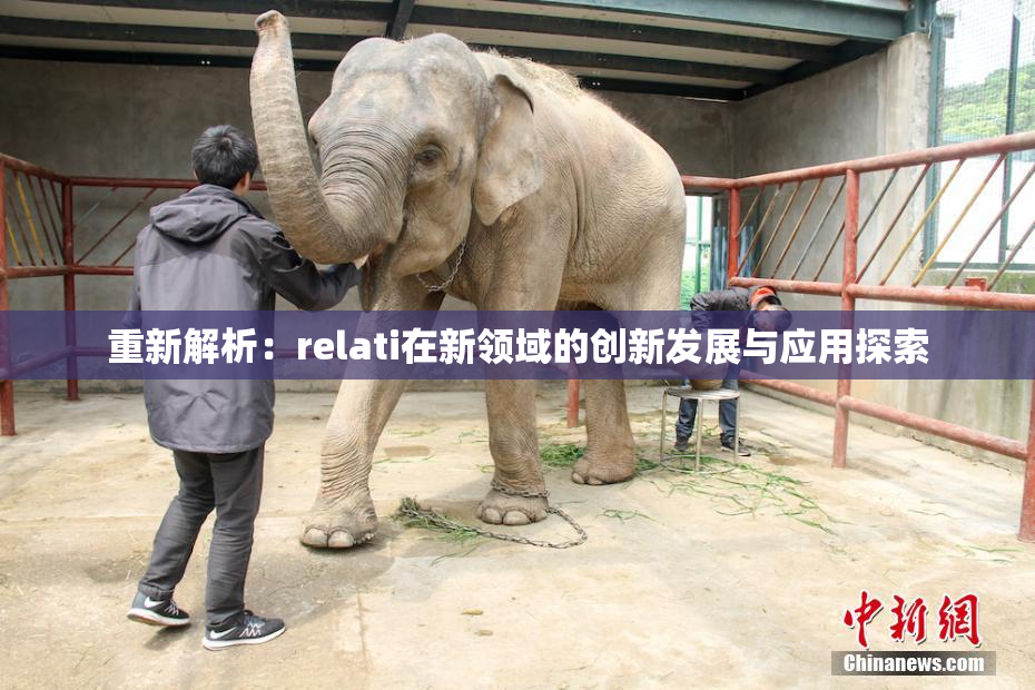 重新解析：relati在新领域的创新发展与应用探索