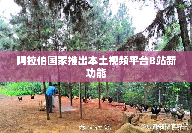 阿拉伯国家推出本土视频平台B站新功能