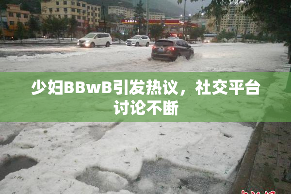 少妇BBwB引发热议，社交平台讨论不断