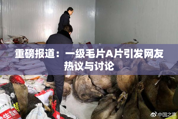 重磅报道：一级毛片A片引发网友热议与讨论