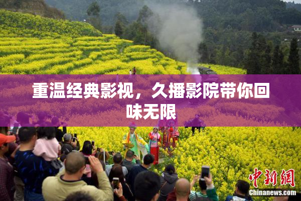 重温经典影视，久播影院带你回味无限