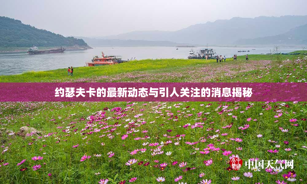 约瑟夫卡的最新动态与引人关注的消息揭秘