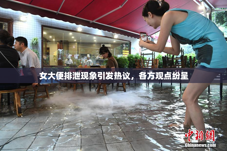 女大便排泄现象引发热议，各方观点纷呈