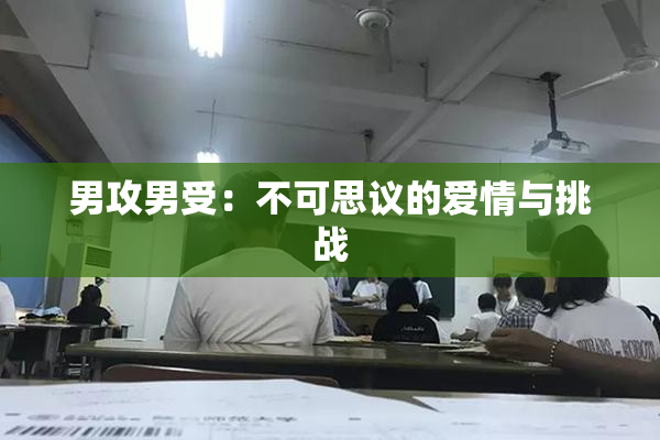 男攻男受：不可思议的爱情与挑战