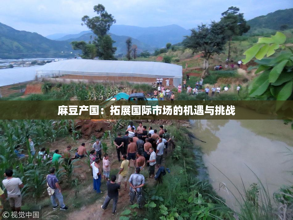 麻豆产国：拓展国际市场的机遇与挑战
