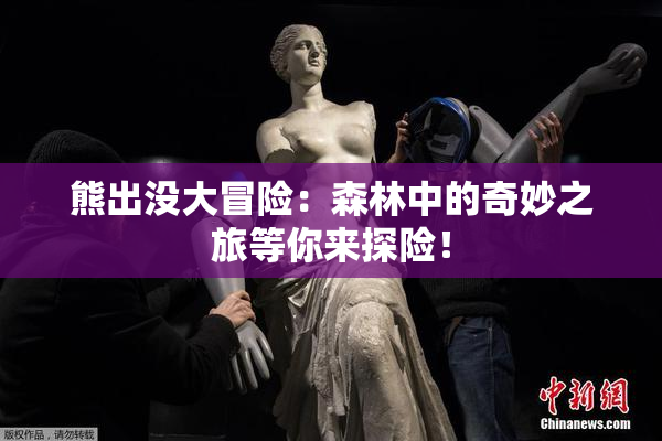 熊出没大冒险：森林中的奇妙之旅等你来探险！