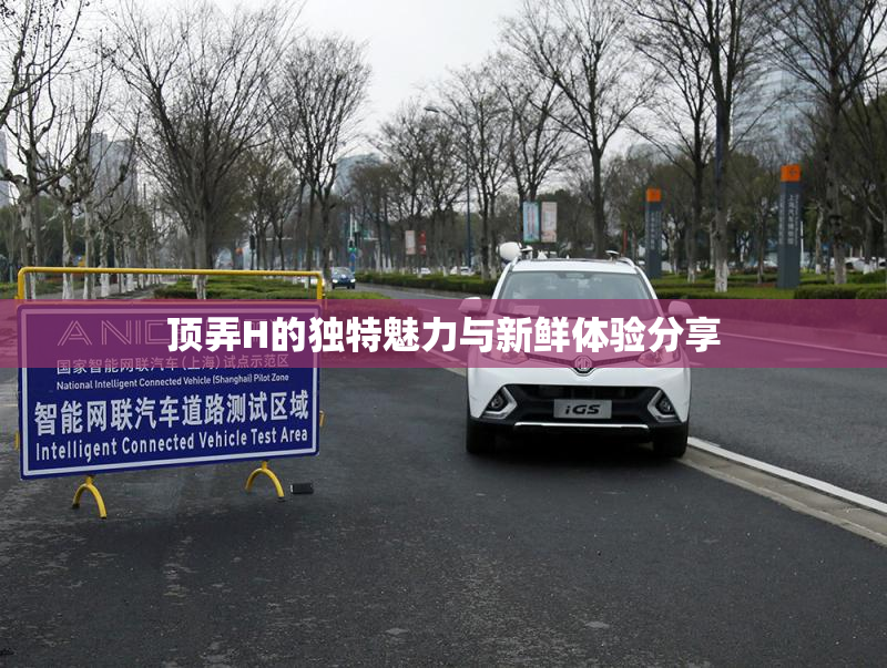 顶弄H的独特魅力与新鲜体验分享