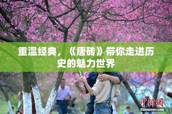 重温经典，《唐砖》带你走进历史的魅力世界