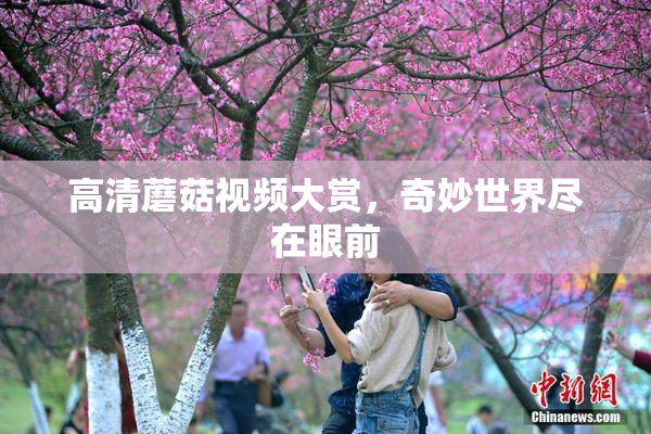 高清蘑菇视频大赏，奇妙世界尽在眼前