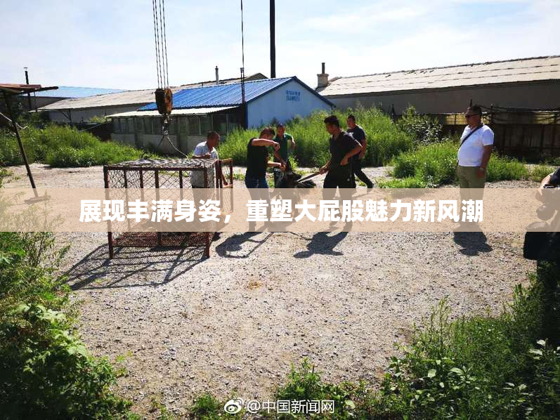 展现丰满身姿，重塑大屁股魅力新风潮