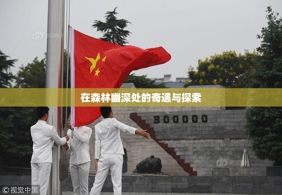在森林幽深处的奇遇与探索