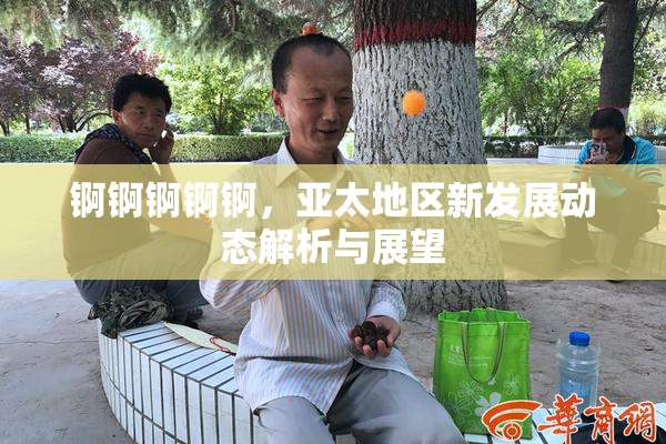 锕锕锕锕锕，亚太地区新发展动态解析与展望