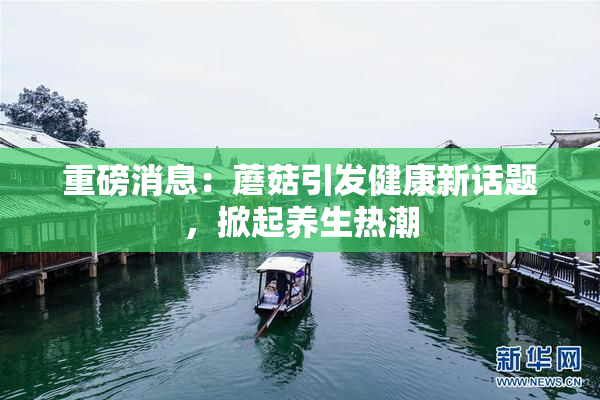 重磅消息：蘑菇引发健康新话题，掀起养生热潮