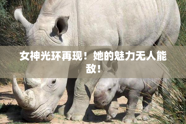 女神光环再现！她的魅力无人能敌！