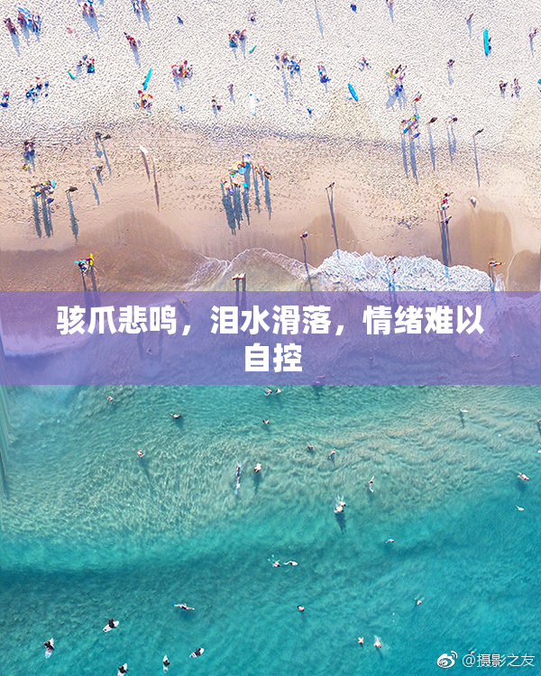 骇爪悲鸣，泪水滑落，情绪难以自控