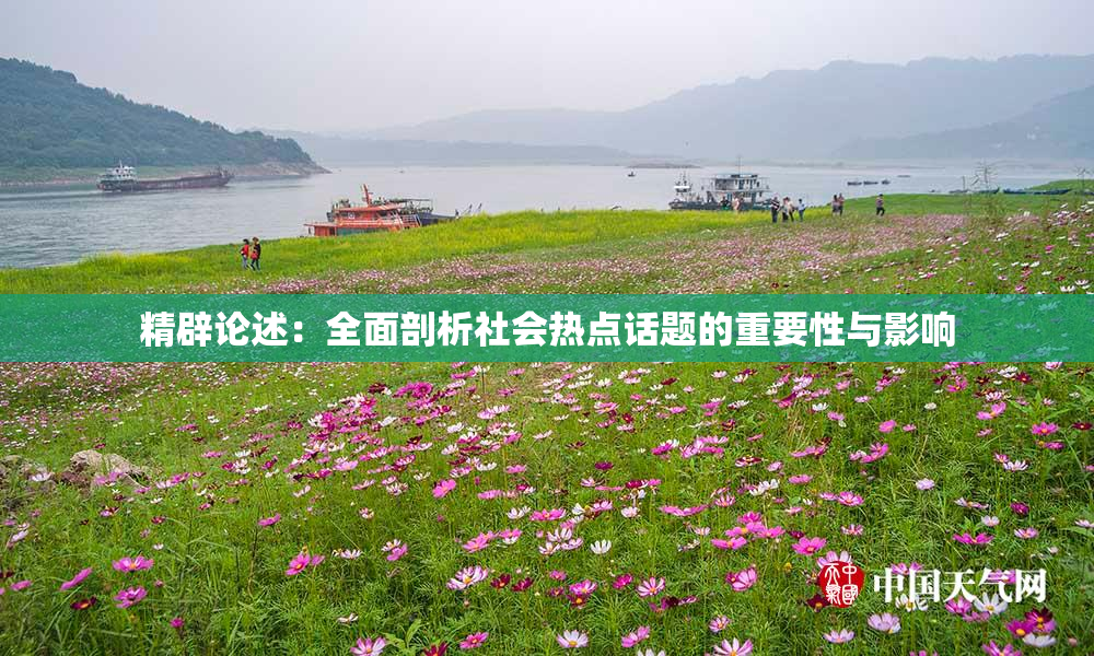 精辟论述：全面剖析社会热点话题的重要性与影响